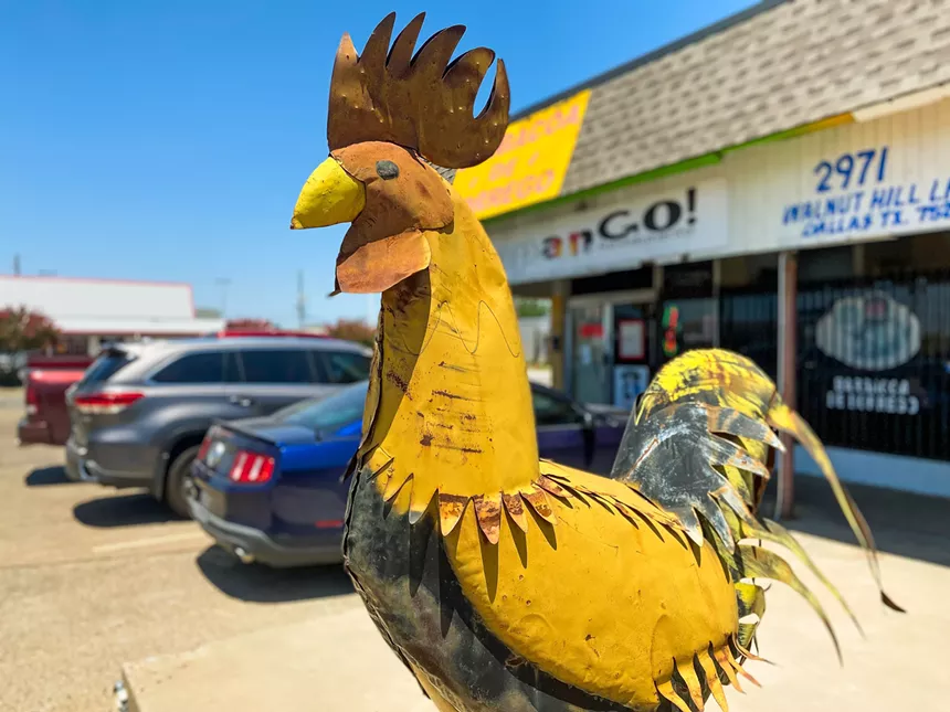 Huapangoa Rooster Sees All- HANK VAUGHN