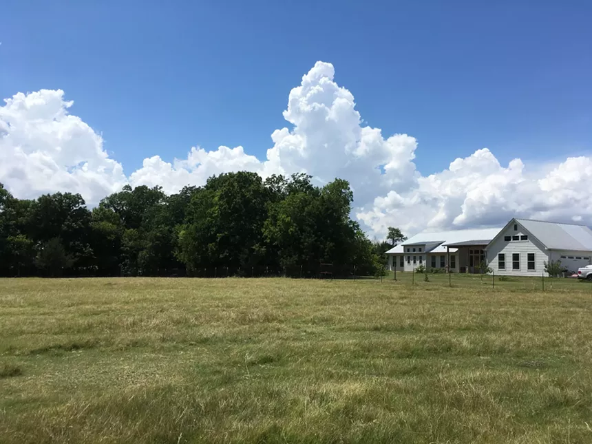 pasture at Fieldsong Farm