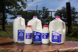 Along with regular milk, Mill-King makes chocolate "CaCow" milk, yogurt, cheese and butter. - COURTESY OF MILL-KING