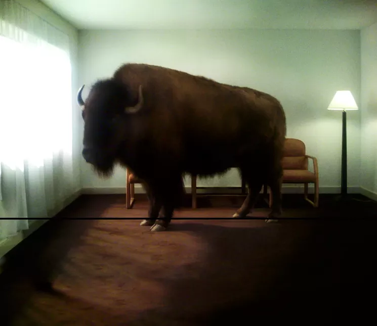 For the newer piece "Migration," Aitken has fabricated billboards that double as movie screens. On them are hyperstylized short films of magnificent wild animals trapped in crappy hotel interiors. - COURTESY THE MODERN ART MUSEUM OF FORT WORTH