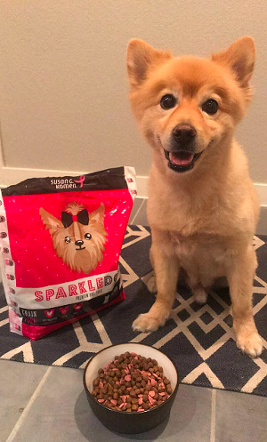 Parker is all smiles with his SparkleDog. - PAIGE SKINNER