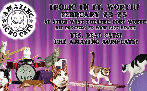 Win Tickets to Amazing Acro-cats in Fort Worth!