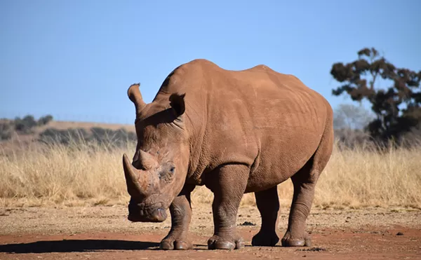 A 'RINO' Attack: Uvalde Congressman Tony Gonzales Under Rifle Fire in New Ad