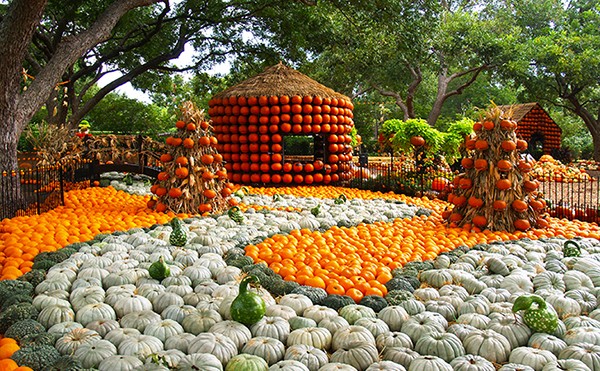 are dogs allowed at the dallas arboretum