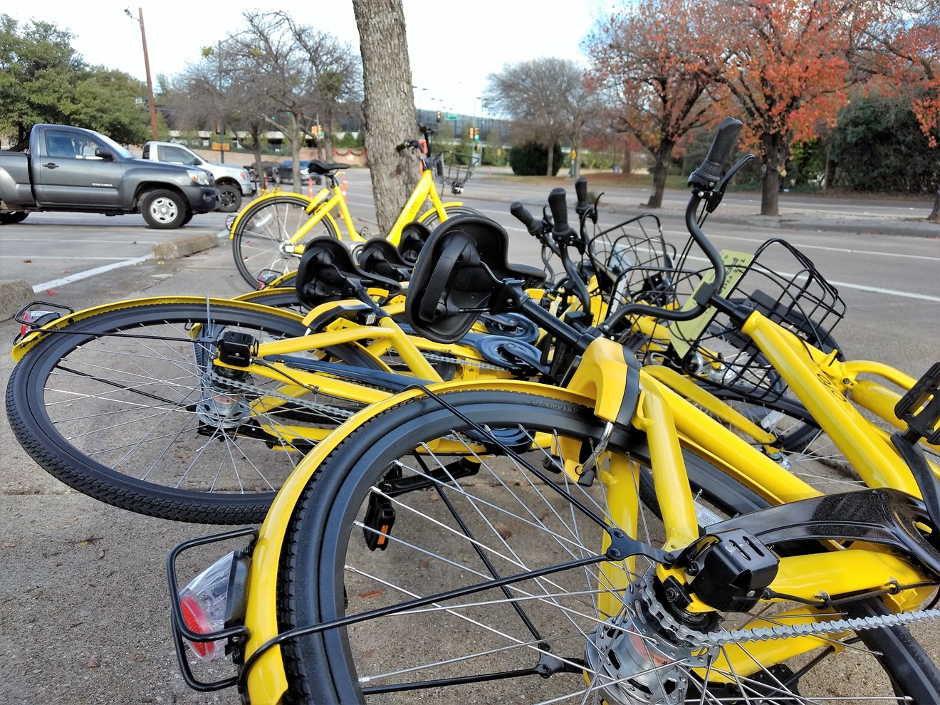 A pile of ofo bikes.