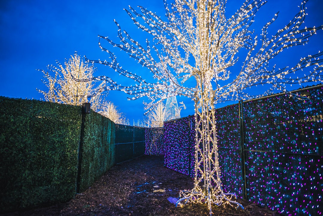 Dallas Holiday Light Shows Dallas Observer