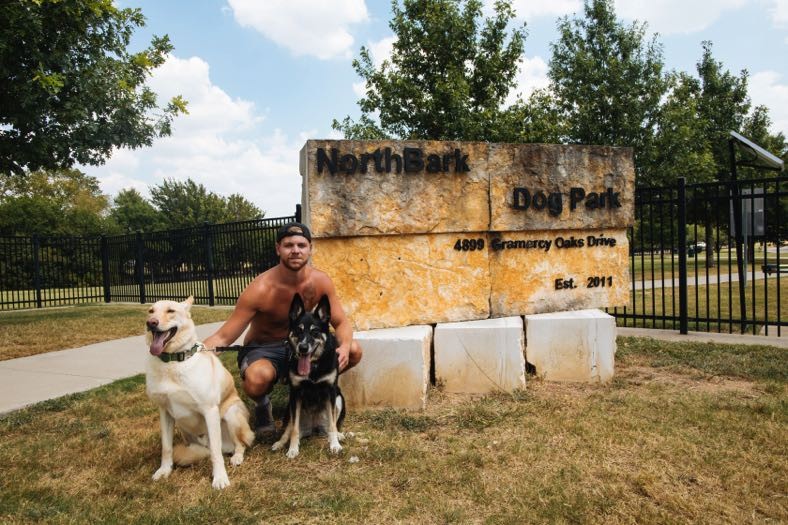 Bark in the Park - The Observer