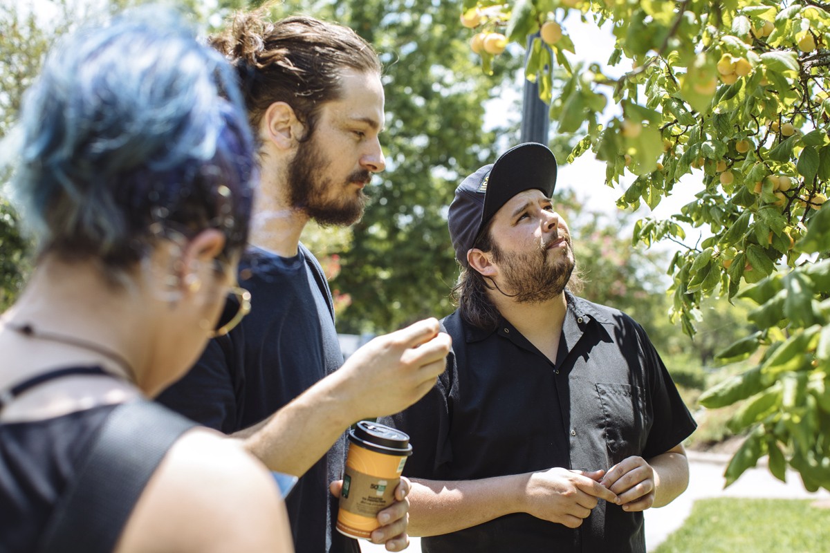 From left: Chefs Misti Norris, Brock Middleton (Mirador) and Joshua Harmon (Junction Craft Kitchen) sample from a yellow cherry tree near White Rock Lake.