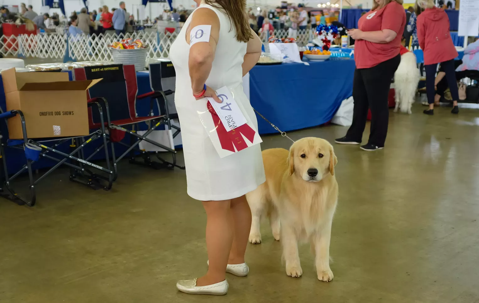 A Look Inside the Lone Star Dog Show Dallas Observer