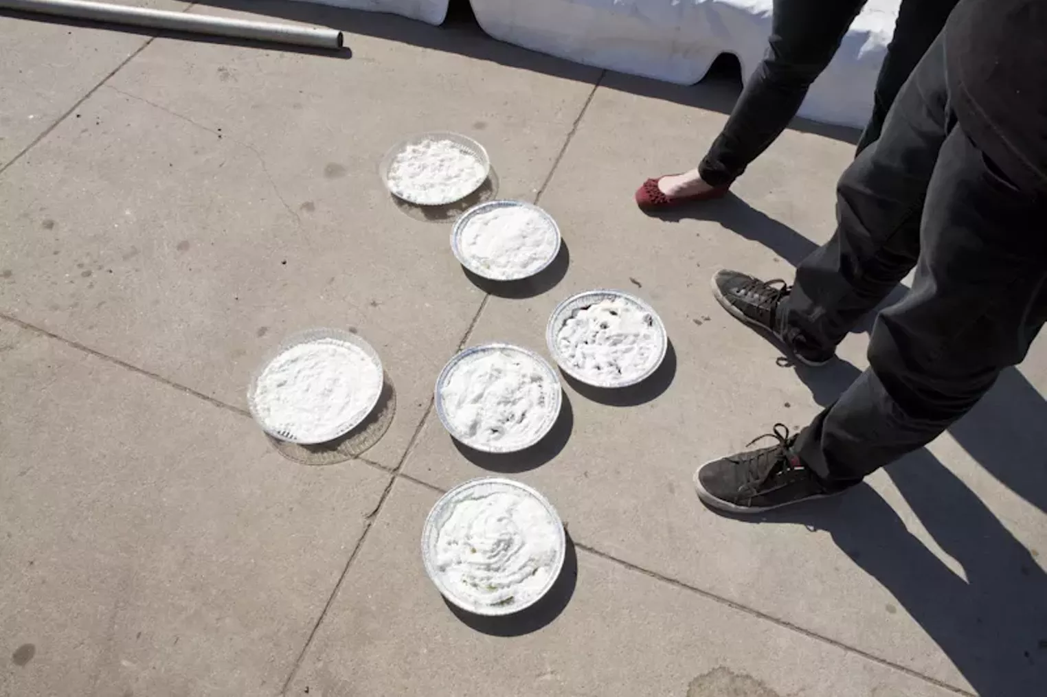 Pie Hard The World's Largest Pie Fight in Austin Dallas Dallas