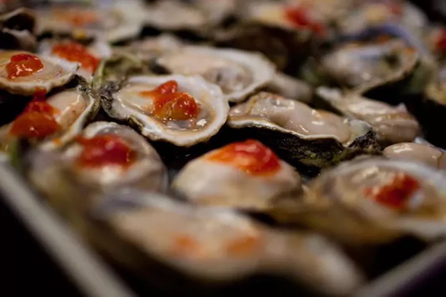 Oyster Eating Contest at Fish City Grill Dallas Dallas Observer