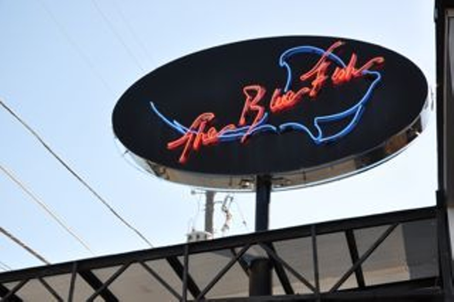 The Blue Fish | Dallas Restaurant Guide 2022 | Dallas Observer