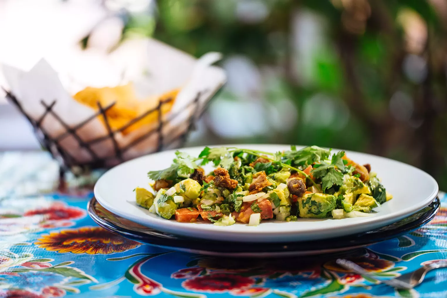 The ParadiseLike Patio of Campestre Chula Vista Dallas Dallas