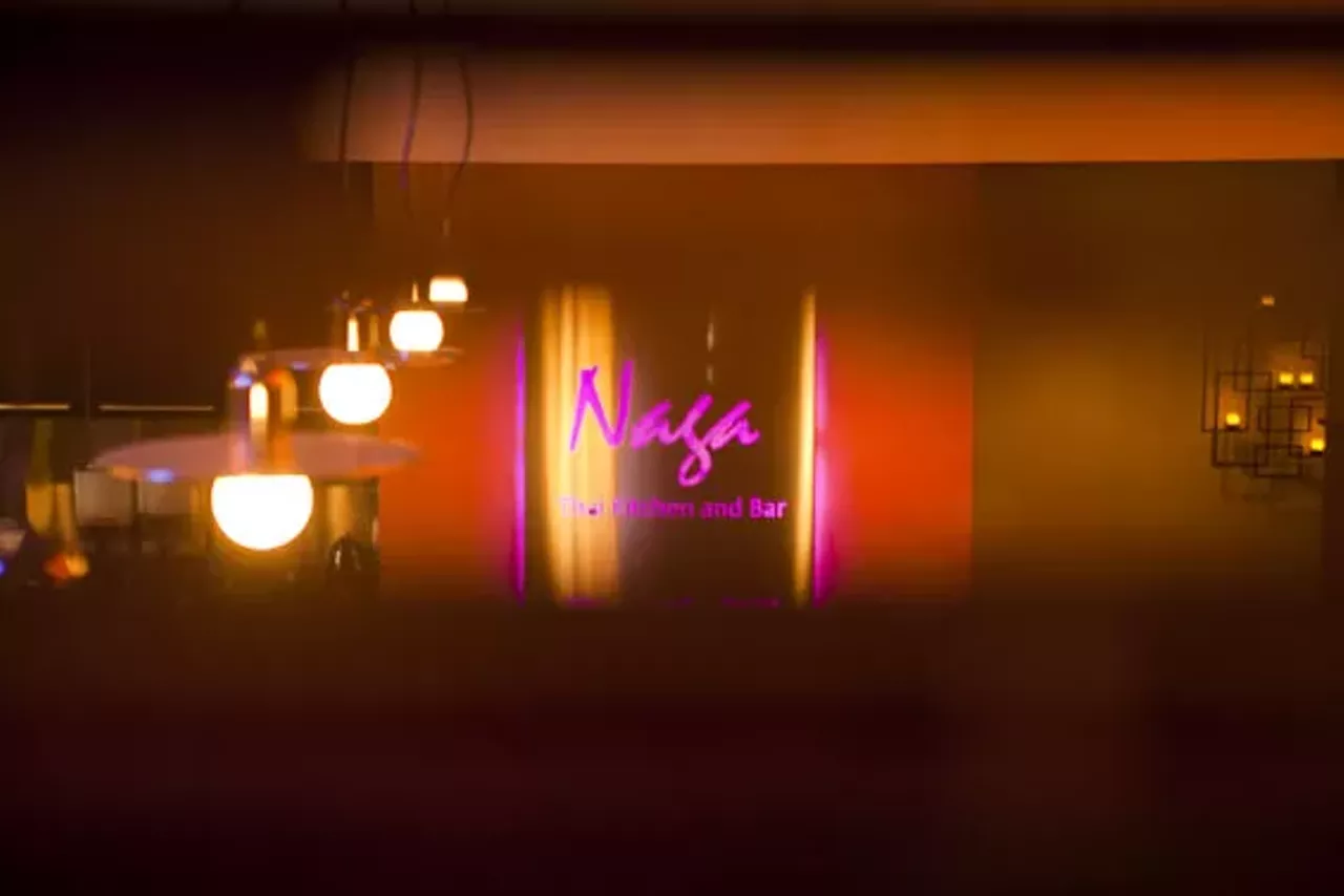 Naga Thai Kitchen and Bar Uptown/Oak Lawn Thai, Restaurants