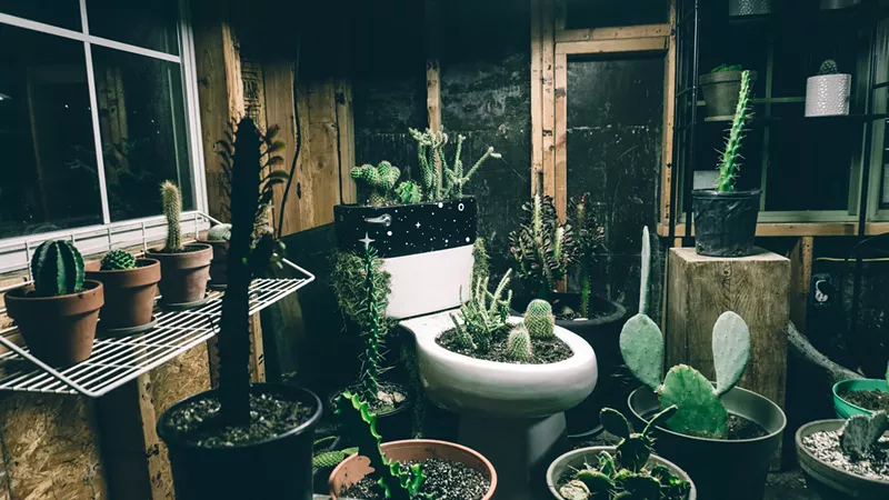 Image: Many of Will Heron’s installations at The Platform involve succulents, which are planted in unusual places around the 1940s home, such as the toilet and bathtub.