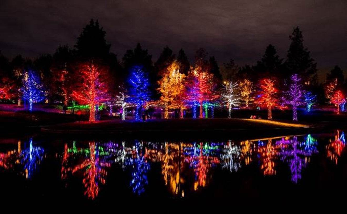 Where To Get Blinded by Christmas Lights in DFW