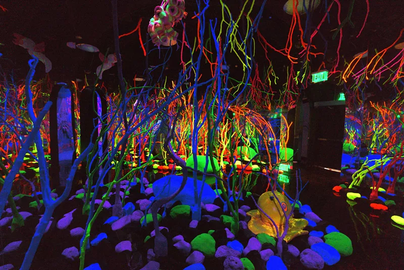 Image: Meow Wolf Grapevine