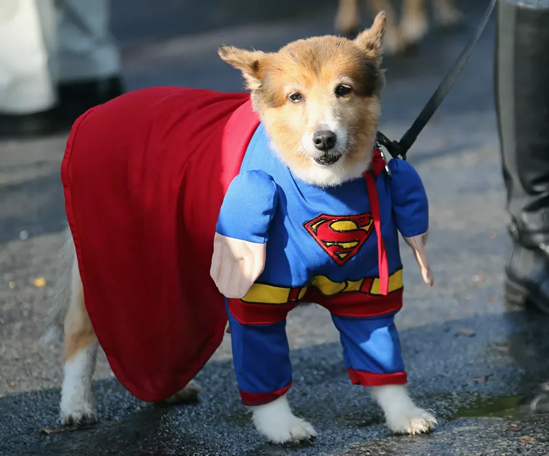 Image: Don't be fooled by the cape. Deep down, this guy is masking his stress.